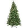 Pre-Lit Christmas Trees*The Holiday Aisle 7' 5" H Green Fir Christmas Tree With 700 Lights