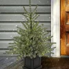 Pre-Lit Christmas Trees*The Holiday Aisle 4' Blue Pe Spruce Christmas Tree With 780 Lights