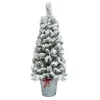 Pre-Lit Christmas Trees*The Holiday Aisle 4' Flocked Pot Green Artificial Christmas Tree With 35 Clear Lights