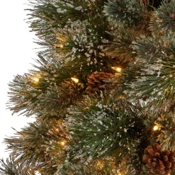Pre-Lit Christmas Trees*The Holiday Aisle 7' Frosted Green Pine Artificial Christmas Tree With 900 Clear Lights
