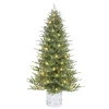 Pre-Lit Christmas Trees*The Holiday Aisle 7.5 Ft Pe/Pvc Potted Tree, 1534 Tips, 450 Ul Clear Incandescent Lights