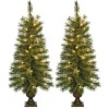 Pre-Lit Christmas Trees*The Holiday Aisle 3.5' Green Artificial Christmas Tree With 35 Clear Lights With Urn Stand