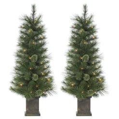 Pre-Lit Christmas Trees*The Holiday Aisle 4' Green Fir Artificial Christmas Tree With 70 White Lights