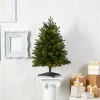 Pre-Lit Christmas Trees*The Holiday Aisle 3' Green Fir Artificial Christmas Tree With 50 Clear Lights