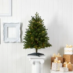 Pre-Lit Christmas Trees*The Holiday Aisle 3' Green Fir Artificial Christmas Tree With 50 Clear Lights