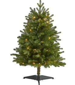 Pre-Lit Christmas Trees*The Holiday Aisle 3' Green Fir Artificial Christmas Tree With 50 Clear Lights