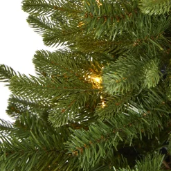 Pre-Lit Christmas Trees*The Holiday Aisle 3' Green Fir Artificial Christmas Tree With 50 Clear Lights