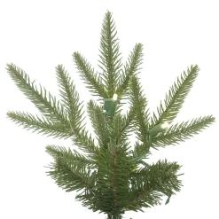 Pre-Lit Christmas Trees*The Holiday Aisle 10' Green Fir Artificial Christmas Tree With 800 Clear Lights
