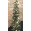 Pre-Lit Christmas Trees*The Holiday Aisle 4' Green Fir Artificial Christmas Tree With 70 Ul Clear/White Lights With Stand
