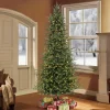 Pre-Lit Christmas Trees*The Holiday Aisle 9' Green Fir Trees Christmas Tree With 800 White Light