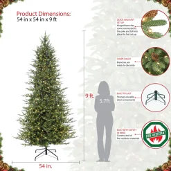 Pre-Lit Christmas Trees*The Holiday Aisle 9' Green Fir Trees Christmas Tree With 800 White Light