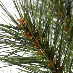 Pre-Lit Christmas Trees*The Holiday Aisle 4' Green Pine Artificial Christmas Tree With 100 Clear/White Lights