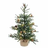 Pre-Lit Christmas Trees*Steelside 2' Green Pine Artificial Christmas Tree With 35 Clear Lights