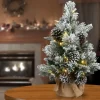 Pre-Lit Christmas Trees*The Holiday Aisle 2' Green Pine Artificial Christmas Tree With 35 Clear/White Lights