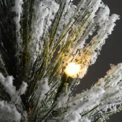 Pre-Lit Christmas Trees*The Holiday Aisle 2' Green Pine Artificial Christmas Tree With 35 Clear/White Lights