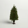 Pre-Lit Christmas Trees*Andover Mills 3.5' H Green Artificial Fir Christmas Tree With 50 Lights