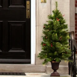 Pre-Lit Christmas Trees*Andover Mills 3.5' H Green Artificial Fir Christmas Tree With 50 Lights