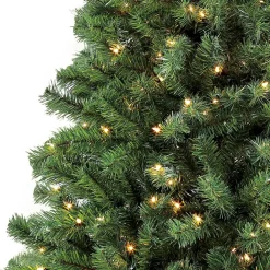 Pre-Lit Christmas Trees*The Holiday Aisle 6'6