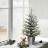 Pre-Lit Christmas Trees*The Holiday Aisle 2' H Green Most Realistic Artificial Pine Frosted Christmas Tree With 35 Led Lights And Pinecones