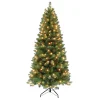Pre-Lit Christmas Trees*The Holiday Aisle 72" H Green Pine Christmas Tree With 250 Lights