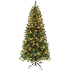 Pre-Lit Christmas Trees*The Holiday Aisle 72" H Green Pine Christmas Tree With 250 Lights