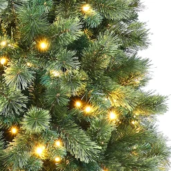 Pre-Lit Christmas Trees*The Holiday Aisle 72" H Green Pine Christmas Tree With 250 Led Color Changing/Combination Lights