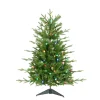 Pre-Lit Christmas Trees*Kurt Adler 3' H Green Pine Christmas Tree With 100 Led Lights