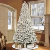Pre-Lit Christmas Trees*The Holiday Aisle 7'6" H Green Pine Frosted Christmas Tree With 500 Lights