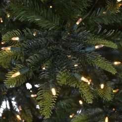 Pre-Lit Christmas Trees*The Holiday Aisle 90" H Green Pvc & Pe Blend Fir Christmas Tree With 600 Led Color Changing/Combination Lights