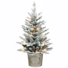 Pre-Lit Christmas Trees*The Holiday Aisle 36" H Green Pvc & Pe Blend Fir Flocked/Frosted Christmas Tree With 50 Led Lights