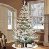 Pre-Lit Christmas Trees*The Holiday Aisle 7'6" H Green Realistic Artificial Spruce Frosted Christmas Tree With 450 Lights