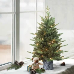 Pre-Lit Christmas Trees*The Holiday Aisle 3' H Green Realistic Artificial Pine Christmas Tree With 50 Lights