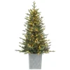 Pre-Lit Christmas Trees*Haute Decor 4'6" H Green Realistic Spruce Artificial Christmas Tree With 200 Led Lights