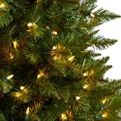 Pre-Lit Christmas Trees*The Holiday Aisle 4' H Green Spruce Cashmere Christmas Tree With 200 Led Color Changing/Combination Lights