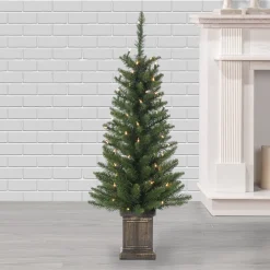 Pre-Lit Christmas Trees*The Holiday Aisle 3'6" H Green Spruce Christmas Tree With 50 Led Lights