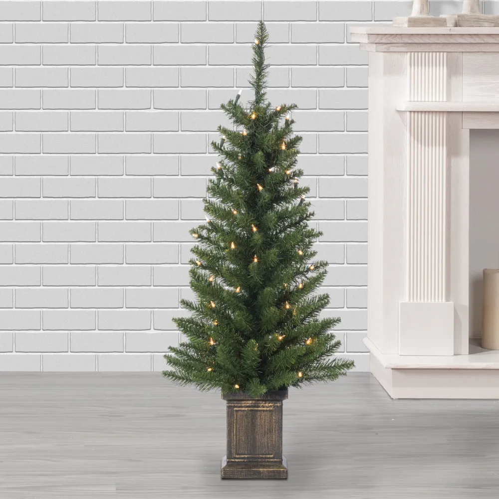 Pre-Lit Christmas Trees*The Holiday Aisle 3'6" H Green Spruce Christmas Tree With 50 Led Lights