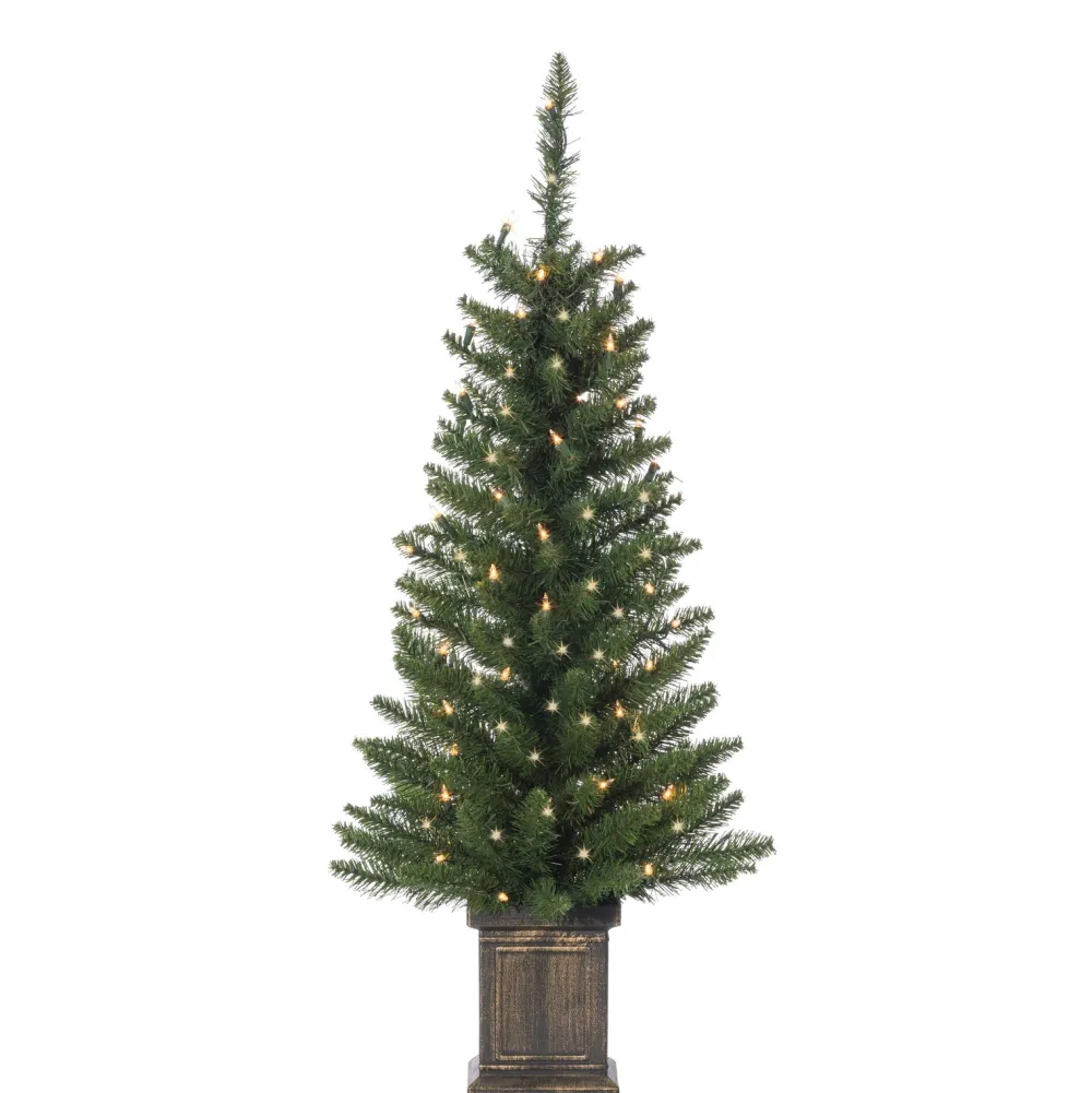 Pre-Lit Christmas Trees*The Holiday Aisle 3'6" H Green Spruce Christmas Tree With 50 Led Lights