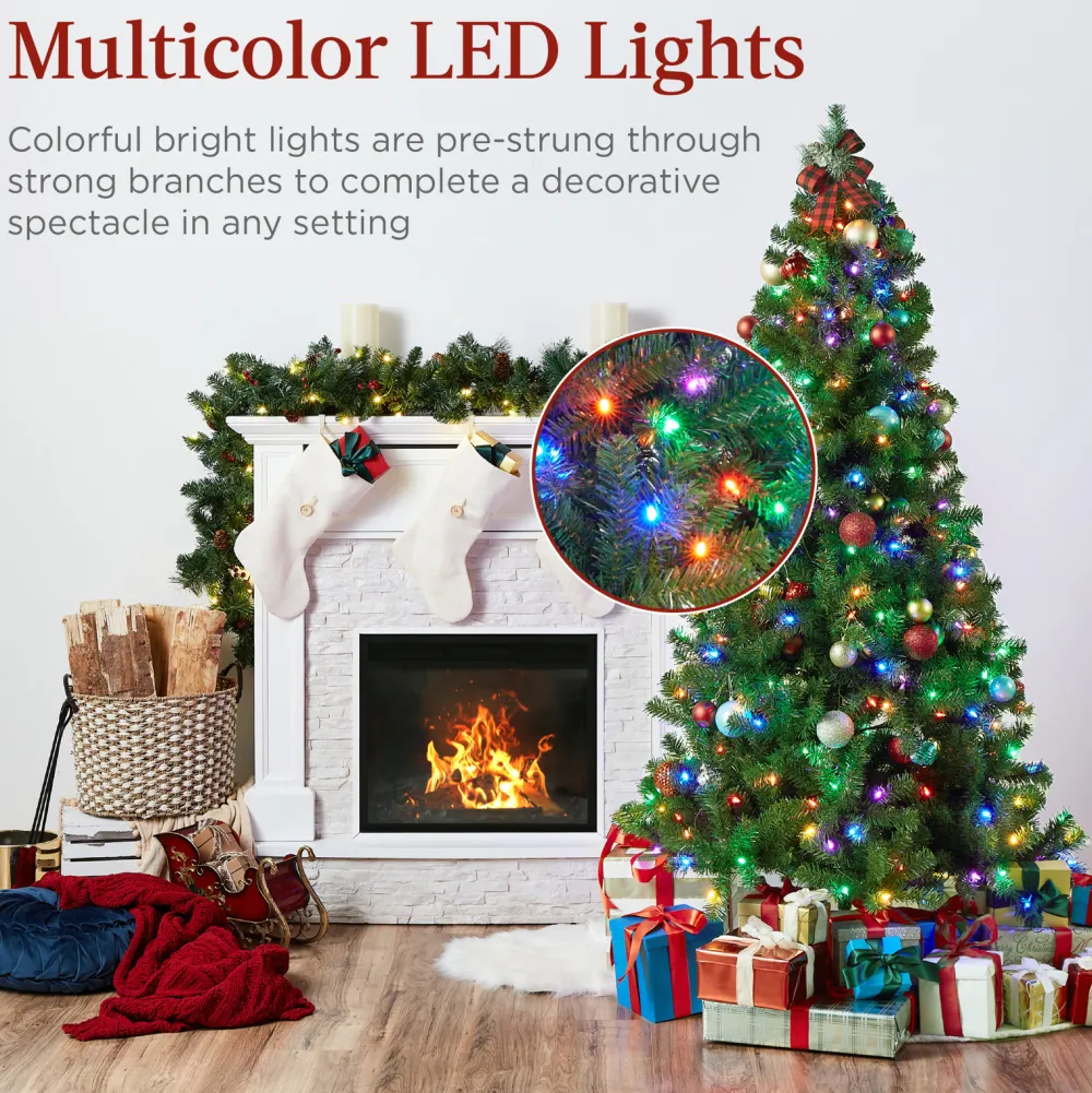 Pre-Lit Christmas Trees*The Holiday Aisle 6' H Green Tree Family Christmas Tree 250 Lights Led