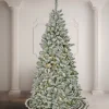 Pre-Lit Christmas Trees*The Holiday Aisle 108" H Slender Green Fir Christmas Tree With 600 Led Lights