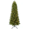 Pre-Lit Christmas Trees*The Holiday Aisle 9' H Slender Green Pine Christmas Tree With 800 Lights