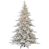 Pre-Lit Christmas Trees*The Holiday Aisle 7' H Slender Green Pine Christmas Tree With 500 Lights