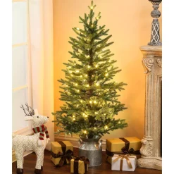 Pre-Lit Christmas Trees*Andover Mills 4'4" H Slender Green Realistic Artificial Fir Christmas Tree With 100 Led Lights