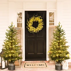 Pre-Lit Christmas Trees*Andover Mills 4'4