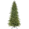 Pre-Lit Christmas Trees*The Holiday Aisle 9' H Slender Green Realistic Artificial Fir Christmas Tree With 700 Led Color Changing/Combination Lights