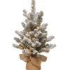 Pre-Lit Christmas Trees*The Holiday Aisle 2' H Spruce Flocked/Frosted Christmas Tree With 15 Led Lights