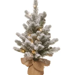 Pre-Lit Christmas Trees*The Holiday Aisle 2' H Spruce Flocked/Frosted Christmas Tree With 15 Led Lights