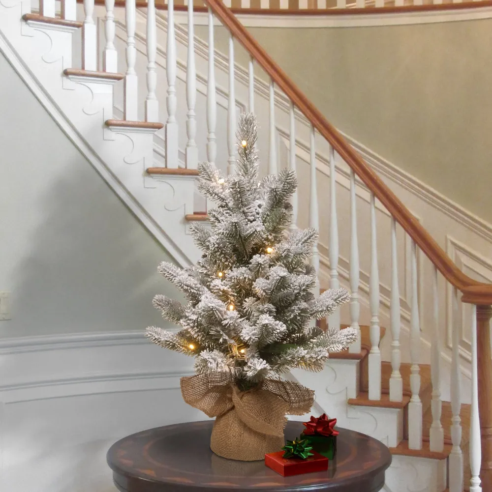 Pre-Lit Christmas Trees*The Holiday Aisle 2' H Spruce Flocked/Frosted Christmas Tree With 15 Led Lights