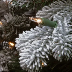 Pre-Lit Christmas Trees*The Holiday Aisle 2' H Spruce Flocked/Frosted Christmas Tree With 15 Led Lights