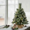 Pre-Lit Christmas Trees*The Holiday Aisle 2' Lighted Artificial Pine Christmas Tree