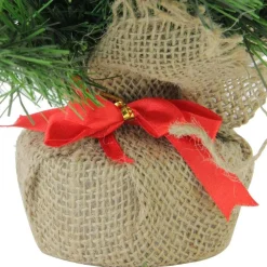 Pre-Lit Christmas Trees*Northlight Seasonal 18